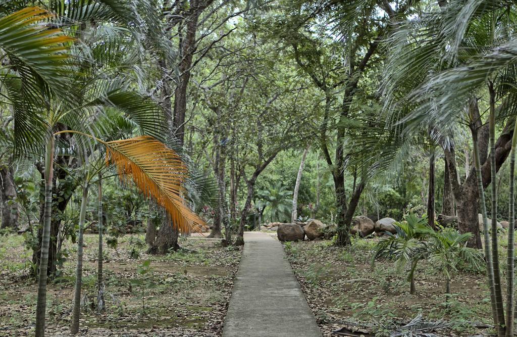 Canon De La Vieja Lodge Liberia Bagian luar foto